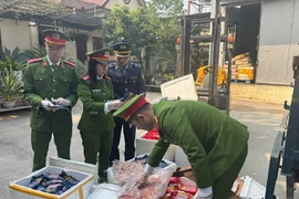 Thanh Hóa: Bắt giữ và tiêu hủy gần 2 tấn thực phẩm bẩn