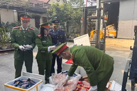 Thanh Hóa: Bắt giữ và tiêu hủy gần 2 tấn thực phẩm bẩn