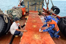 Đoàn Trinh sát 2 Bộ Tư lệnh Cảnh sát biển tiếp tục lập công