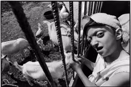 Cuộc sống bi thảm của nạn nhân thảm họa hạt nhân Chernobyl (2)