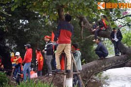 1.001 kiểu xem bóng đá trên đường phố ở Hà Nội