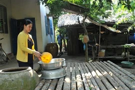 Loạt ảnh cuộc sống bình dị của gia đình Ánh Viên