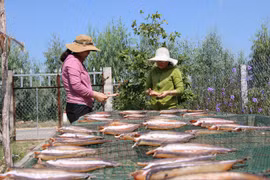Làm giàu khác người: “Nhị cô nương” và món khô cá đồng, cá sông
