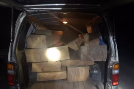 Bắt ô tô chở gỗ lậu, phát hiện tài xế không bằng lái 