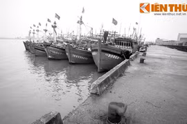 Bến cảng lịch sử đón đồng bào Miền Nam tập kết ra Bắc