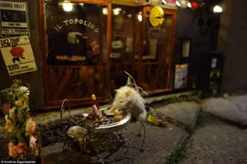 Nhà hàng tí hon cực đẹp dành cho chuột