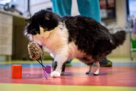 Lạ độc loạt ảnh gây cảm xúc mạnh mẽ ai cũng rung động