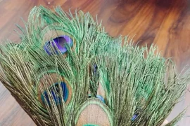 Trào lưu mua sắm mới vạn nhà đều có dịp Tết: Lông công phong thủy