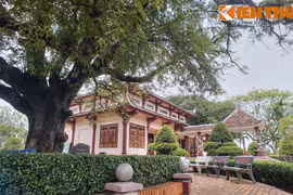 Chiêm ngưỡng cây me cổ thụ gắn với lịch sử triều đại Tây Sơn