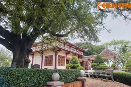 Chiêm ngưỡng cây me cổ thụ gắn với lịch sử triều đại Tây Sơn