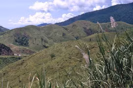 Kho ảnh khổng lồ về VN 1991-1993: Đại ngàn Tây Nguyên 