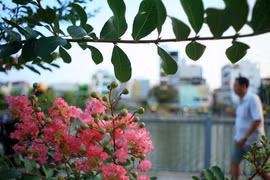 Đường Trường Sa, Hoàng Sa lột xác... đẹp nhất TP HCM