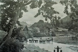 Ảnh độc về vùng đất Bắc Hà nguyên sơ 100 năm trước