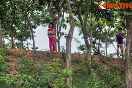 Tận mục dấu tích tòa thành cổ xưa nhất Việt Nam