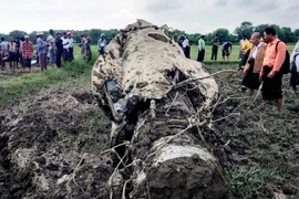 Kinh hoàng: 20 phút, hai chiến đấu cơ Myanmar rơi liên tiếp