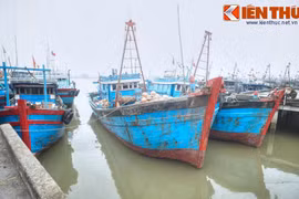 Bến cảng lịch sử gắn với sự nghiệp nguyên Thủ tướng Phan Văn Khải 