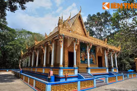 Ngôi chùa dơi quạ đua nhau về làm tổ bí ẩn nhất VN 