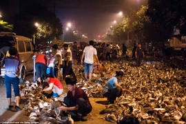 Vì sao có tục giết vịt cúng lễ dịp Tết Vu Lan? 