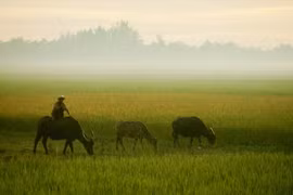 Ảnh đẹp mê mẩn về Huế, Đà Nẵng năm 1967 