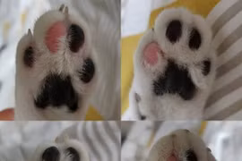 Ảnh chứng minh thế giới luôn tồn tại những phép màu 