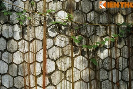 Bí ẩn bức tường đá cổ trên đường Phùng Hưng