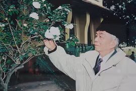 Ảnh xúc động về đời thường của Tướng Giáp