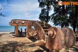 Cảnh tượng hiếm có ở công viên kỳ lạ bên bờ biển Quy Nhơn 