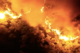 Clip: Dân di dời khẩn cấp vì núi Hồng Lĩnh thành biển lửa