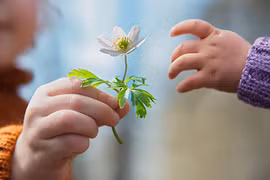 Phép mầu thần thông