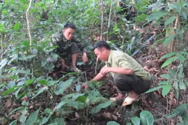 Chuyện những người gìn giữ báu vật dưới chân dãy Hoàng Liên Sơn