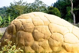 Ly kỳ chuyện “thần Kim quy” vùng Tây Bắc 