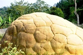 Ly kỳ chuyện “thần Kim quy” vùng Tây Bắc 