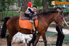 1.001 kiểu “ăn Tết” của động vật ở Vườn thú Hà Nội