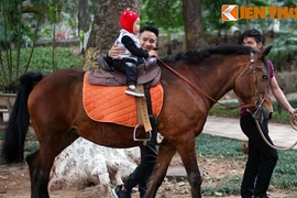 1.001 kiểu “ăn Tết” của động vật ở Vườn thú Hà Nội