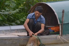 Chạnh lòng 35 mùa Tết trên sông Hiếu