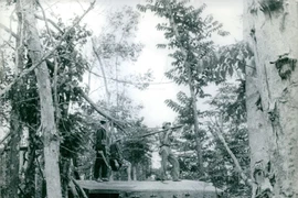 Ảnh quý về chiến sĩ Giải phóng ở miền Nam thập niên 1960