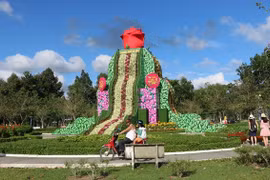 Oái oăm những kỷ lục... vô bổ, lãng phí ở Đồng Tháp 