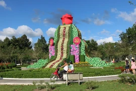 Oái oăm những kỷ lục... vô bổ, lãng phí ở Đồng Tháp 