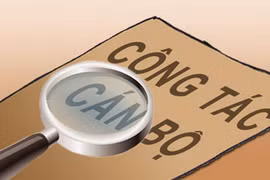 Bộ Nội vụ kiến nghị miễn nhiệm người được bổ nhiệm thiếu chuẩn tiến sĩ