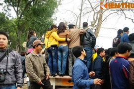 1.001 kiểu xem cụ Rùa Hồ Gươm nổi ở Hà Nội