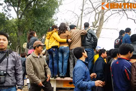 1.001 kiểu xem cụ Rùa Hồ Gươm nổi ở Hà Nội