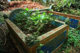 Tận mục nghĩa địa “heo thành tinh” ở đất phương Nam