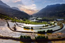 Cảnh sắc Việt đẹp mê hồn dưới ống kính người Thái 