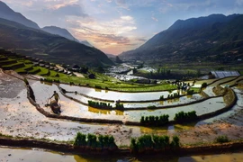 Cảnh sắc Việt đẹp mê hồn dưới ống kính người Thái 