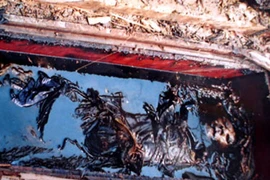 Bí ẩn loại gỗ đóng linh cữu huyền thoại ở VN