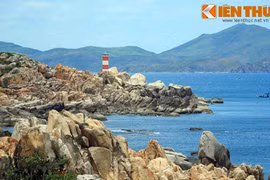 Choáng ngợp cảnh kỳ vĩ của Gành Đèn Phú Yên