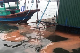 Lại xuất hiện vệt nước đỏ bất thường ở cảng Vũng Áng