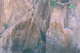 Kỳ bí văn tự cổ trên vách đá giữa đại ngàn Trường Sơn