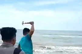 Cá sấu mắc vào lưới đánh cá, ngư dân dùng búa đập tàn nhẫn