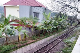 Chạy ra đường ray chơi đùa, bé trai bị tàu hoả cán nát chân 